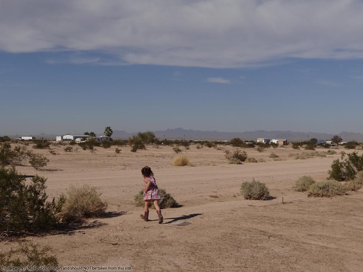 0.25 acres land for sale in Tacna, AZ